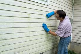 Best Wood Siding Installation  in Lonaconing, MD